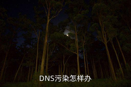 DNS污染怎樣辦