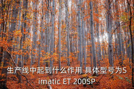 生產(chǎn)線中起到什么作用 具體型號為Simatic ET 200SP