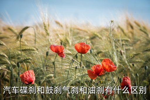 汽車碟剎和鼓剎氣剎和油剎有什么區(qū)別