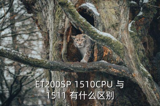 et200sp，ET200SP 1510CPU 與1511 有什么區(qū)別