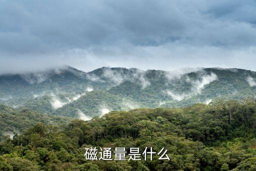 磁通量是什么