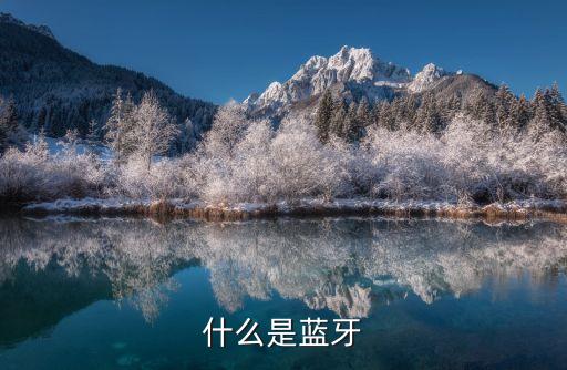 什么是藍(lán)牙