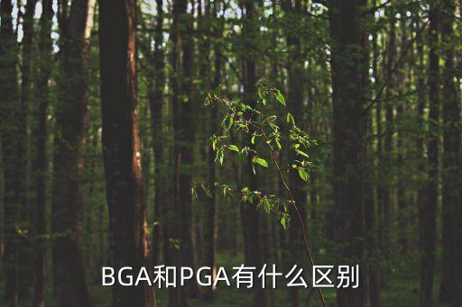 BGA和PGA有什么區(qū)別