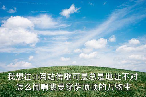 st網站，ST音樂網的具體網址是什么
