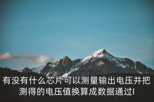 有沒有什么芯片可以測量輸出電壓并把測得的電壓值換算成數(shù)據(jù)通過I