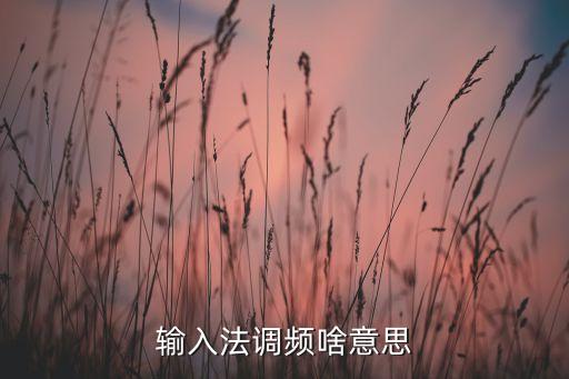 輸入法調(diào)頻啥意思