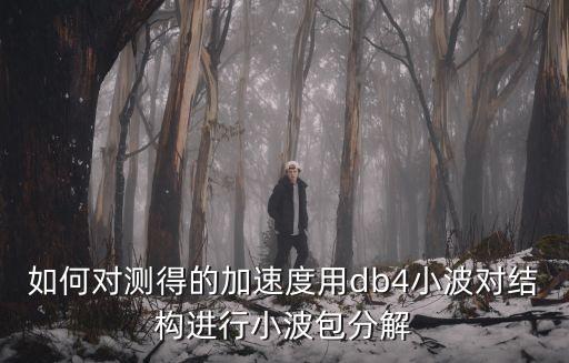如何對測得的加速度用db4小波對結構進行小波包分解