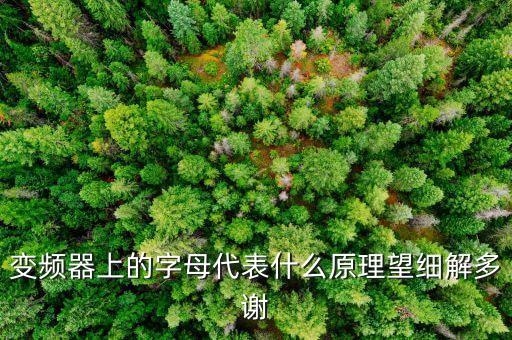變頻器上的字母代表什么原理望細(xì)解多謝