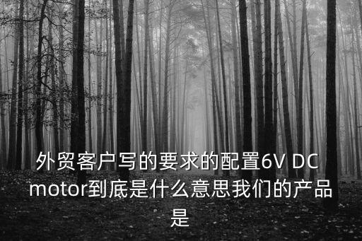 外貿(mào)客戶寫的要求的配置6V DC motor到底是什么意思我們的產(chǎn)品是