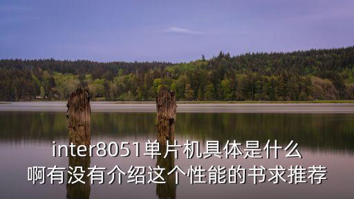 8051單片機(jī)，8051系列單片機(jī)