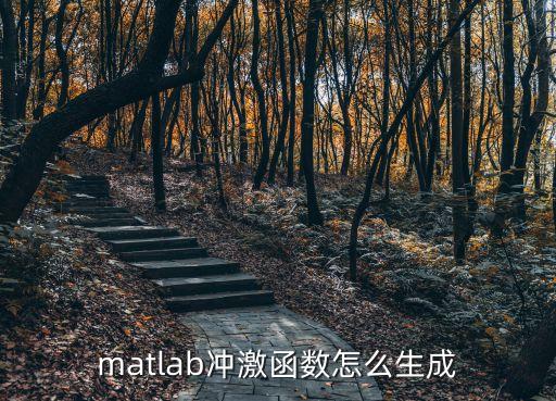 單位沖激函數(shù)，單位脈沖函數(shù)是什么有什么性質(zhì)
