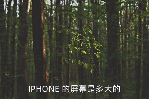 IPHONE 的屏幕是多大的