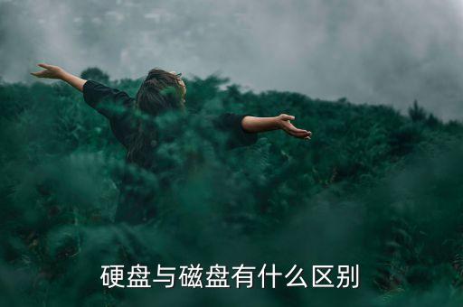 硬盤與磁盤有什么區(qū)別