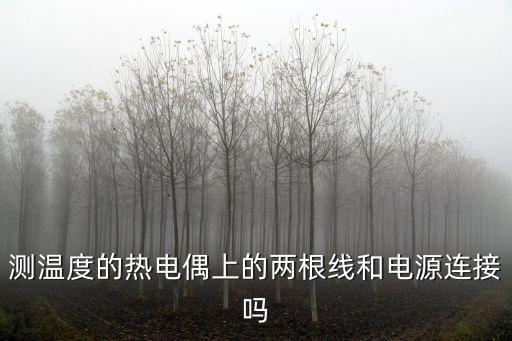測溫度的熱電偶上的兩根線和電源連接嗎