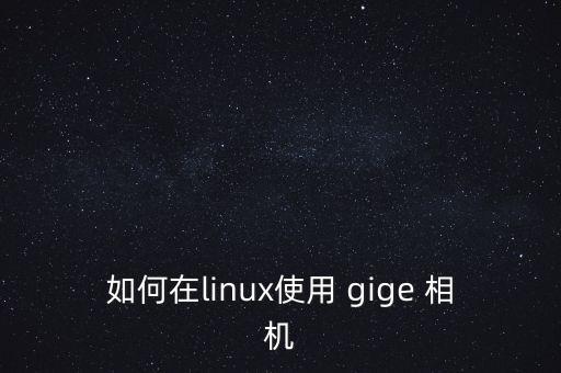 如何在linux使用 gige 相機