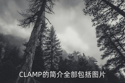 懸臂梁圖片，CLAMP的簡介全部包括圖片