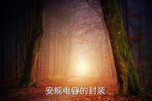 電容封裝，電解電容的元件封裝是什么請(qǐng)速度回答