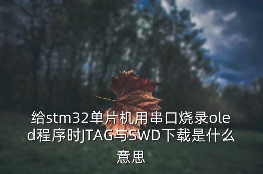 給stm32單片機用串口燒錄oled程序時JTAG與SWD下載是什么意思