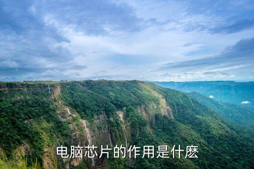 什么是芯片，芯片是怎樣工作的 bl