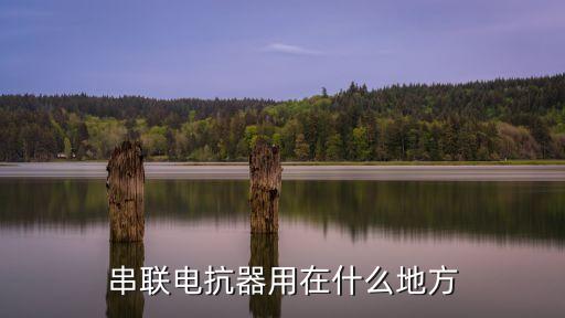 串聯(lián)電抗器，并聯(lián)電抗器和串聯(lián)電抗器是兩個名詞啊還是并接和串接在線路中的電