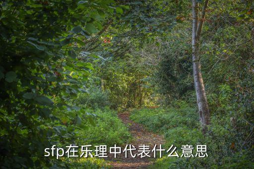 sfp在樂理中代表什么意思