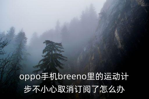 oppo手機(jī)breeno里的運(yùn)動(dòng)計(jì)步不小心取消訂閱了怎么辦