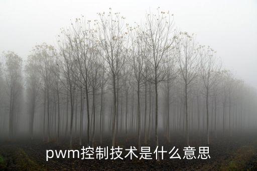 pwm控制技術(shù)是什么意思