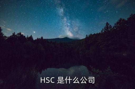HSC 是什么公司
