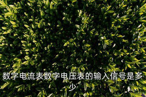 數(shù)字電流表數(shù)字電壓表的輸入信號是多少