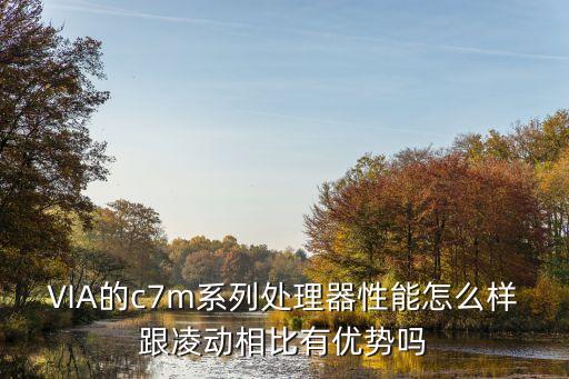 via處理器，VIA的c7m系列處理器性能怎么樣跟凌動(dòng)相比有優(yōu)勢嗎