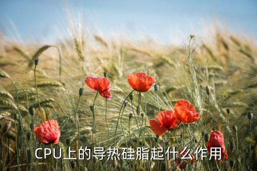 CPU上的導熱硅脂起什么作用