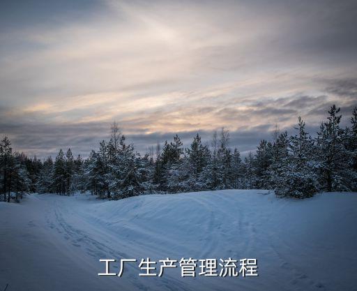 工廠生產(chǎn)管理流程