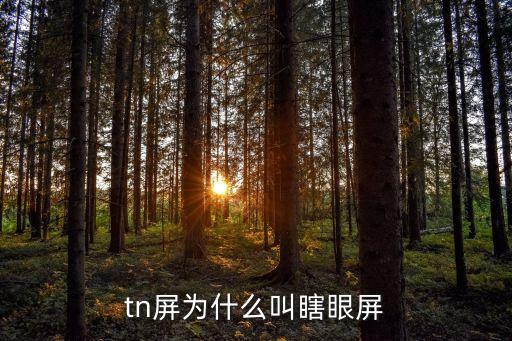 tn屏，什么是TN面板的顯示器啊有沒(méi)有高人在啊 想買個(gè)顯示器不過(guò)網(wǎng)