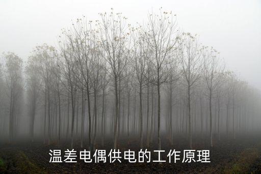 溫差電偶供電的工作原理