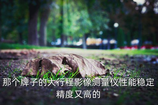 那個(gè)牌子的大行程影像測(cè)量?jī)x性能穩(wěn)定精度又高的