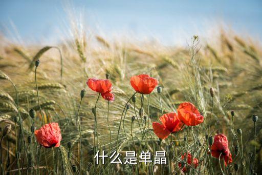 什么是單晶