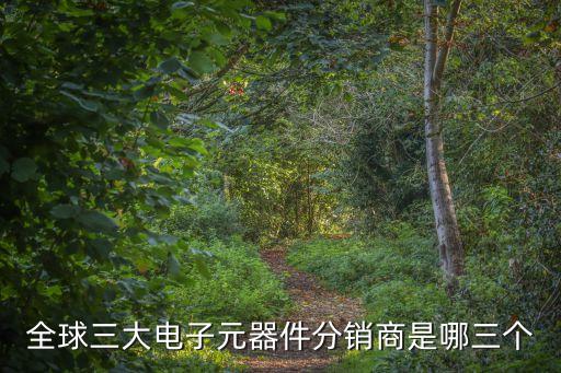全球三大電子元器件分銷商是哪三個(gè)