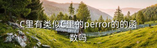 C里有類似C里的perror的的函數(shù)嗎