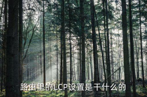 路由里的LCP設(shè)置是干什么的