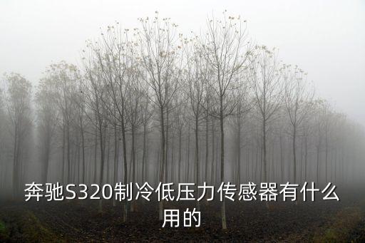 奔馳S320制冷低壓力傳感器有什么用的