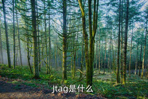 Jtag是什么