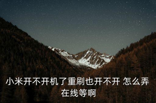 小米開不開機了重刷也開不開 怎么弄 在線等啊