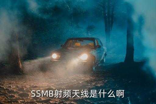 射頻天線，SSMB射頻天線是什么啊