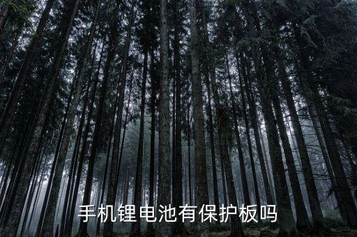 手機鋰電池有保護板嗎