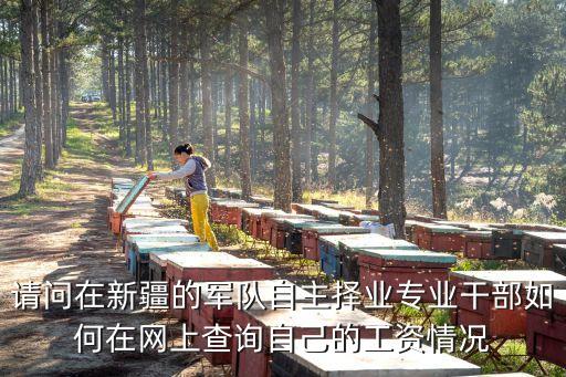 xjrs，請問在新疆的軍隊自主擇業(yè)專業(yè)干部如何在網(wǎng)上查詢自己的工資情況