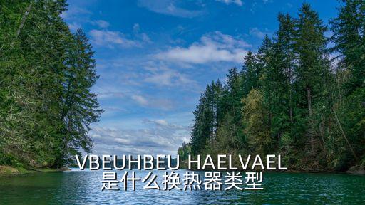 換熱器類型，VBEUHBEU HAELVAEL是什么換熱器類型
