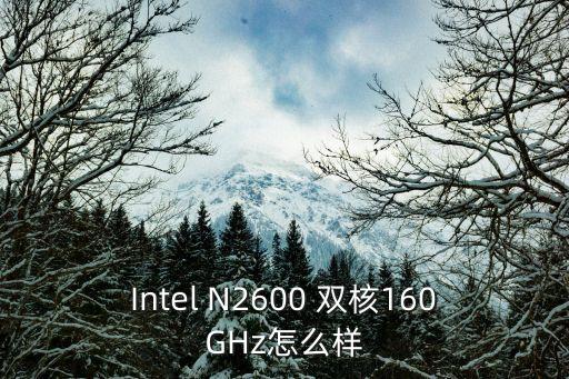 Intel N2600 雙核160GHz怎么樣