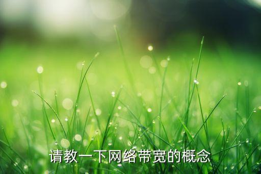 請教一下網(wǎng)絡(luò)帶寬的概念