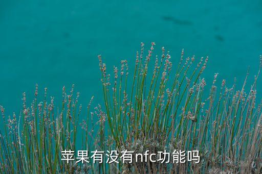 蘋果幾有nfc，蘋果有沒有nfc功能嗎