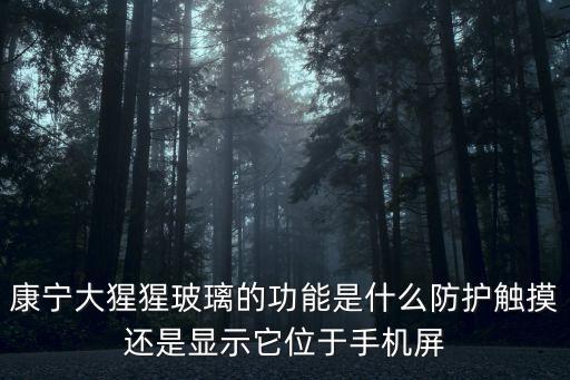 康寧大猩猩玻璃的功能是什么防護(hù)觸摸還是顯示它位于手機(jī)屏